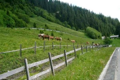 Bild 16