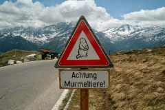 Bild 52