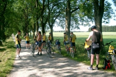 Bild_7
