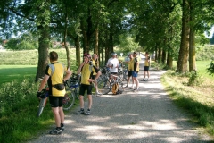 Bild_8