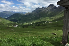 Bild11