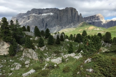 Bild15