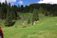 Bild17