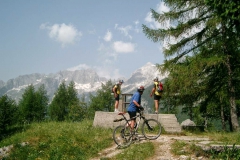 Bild73